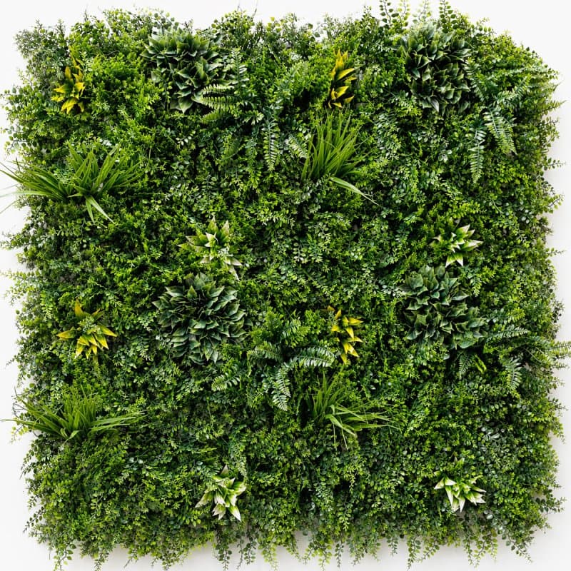 Fougère Dense Mur végétal artificiel 1M x 1M